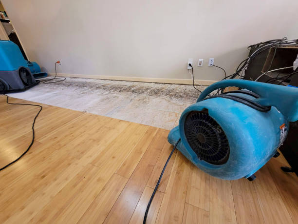 Professional Flood Damage Cleanup technician working in South Dos Palos, CA